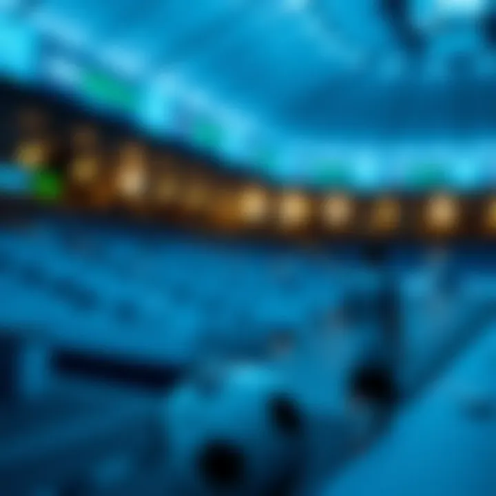 Strategies for successful betting