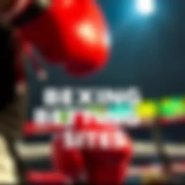 Key features to look for in boxing betting sites