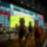 Thoroughbred Racing in the Digital Age Thoroughbred horses racing on a digital screen