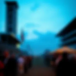 Navigating the Landscape of Horse Racing Betting in New York Introduction