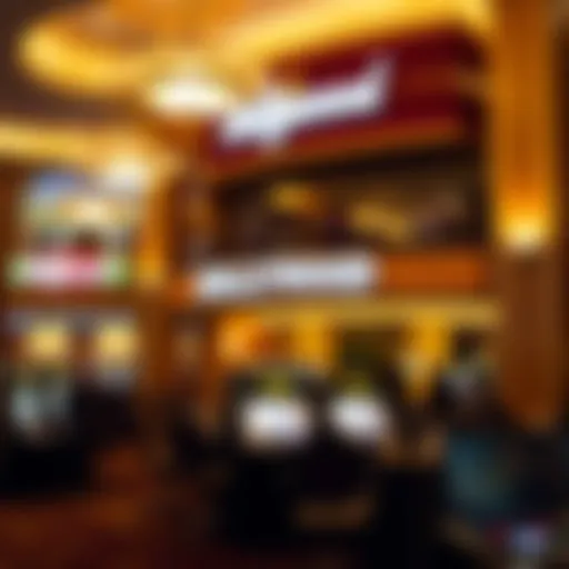 Ownership and Operations of Hollywood Casino Introduction