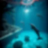 The Mirage: A Deep Dive into Vegas and the Iconic Dolphins Introduction