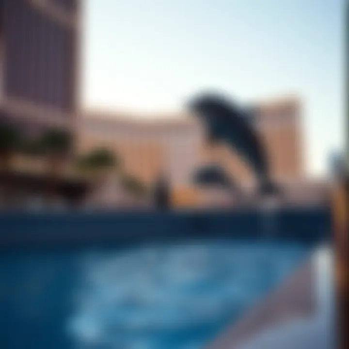 Notable The Mirage: A Deep Dive into Vegas and the Iconic Dolphins