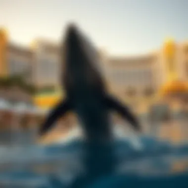 The Mirage: A Deep Dive into Vegas and the Iconic Dolphins Summary