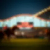 Understanding Betting Dynamics: A Case Study on Wagering Seven Thousand at Twenty-to-One Odds Introduction